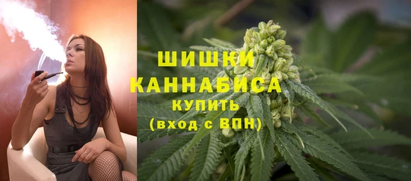прущие грибы Козловка