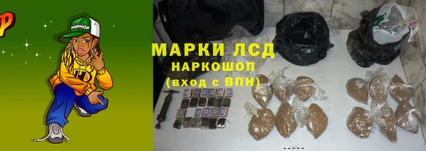 прущие грибы Козловка