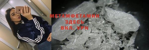 прущие грибы Козловка