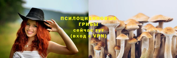 MESCALINE Кодинск