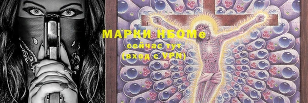 прущие грибы Козловка