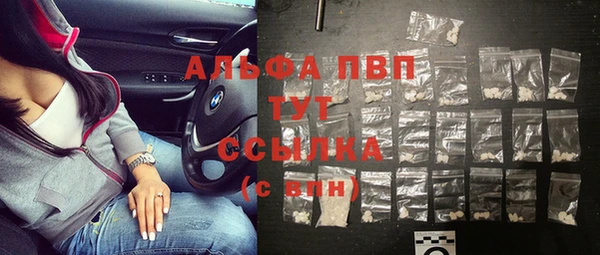 прущие грибы Козловка