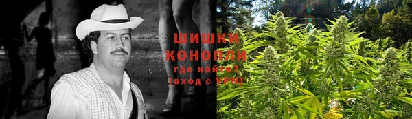 прущие грибы Козловка