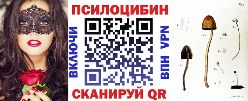Псилоцибиновые грибы мицелий Купить закладки Игарка